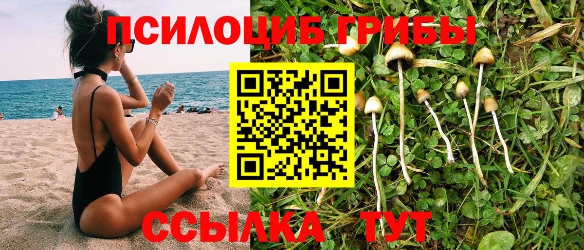 Псилоцибиновые грибы Cubensis  Вход с VPN  Коркино 